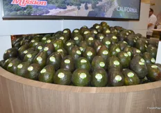 Beautiful display of avocados in the Mission booth.